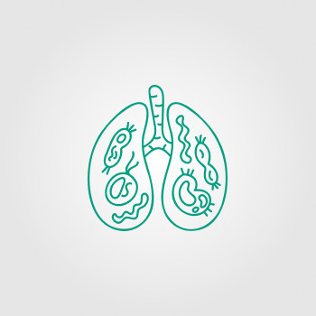 Aparato respiratorio
